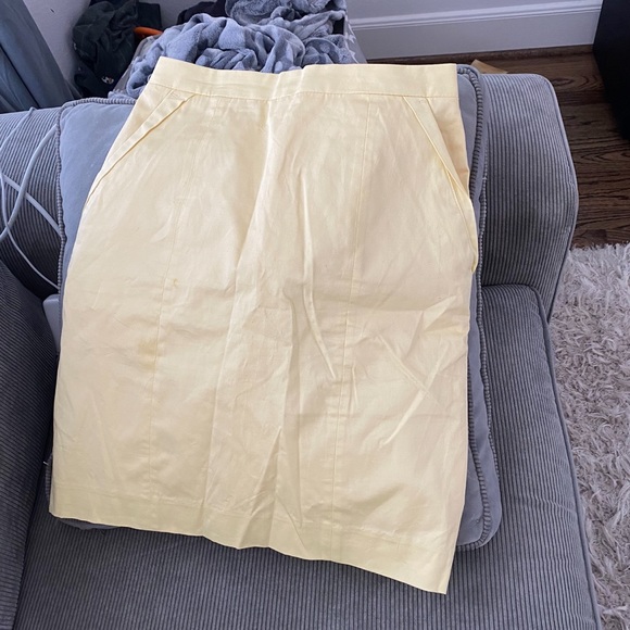 Skirt - Picture 1 of 4